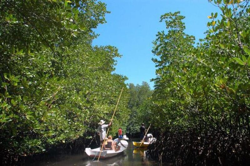 Nusa Lembongan Tour: Island and Mangrove Adventure - Pickup Locations