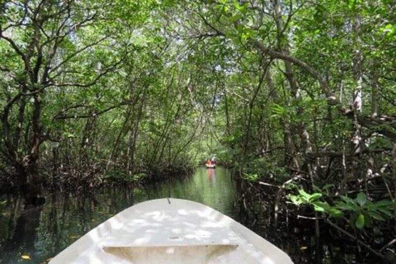 Nusa Lembongan Tour: Island and Mangrove Adventure - Cultural Insights
