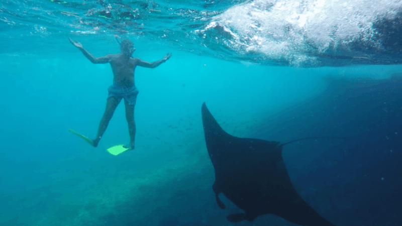 Nusa Penida: 3 Spot With Manta Snorkeling Experience - Key Points