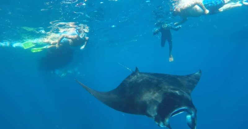 Nusa Penida: 3 Spot With Manta Snorkeling Experience - Health and Safety Restrictions
