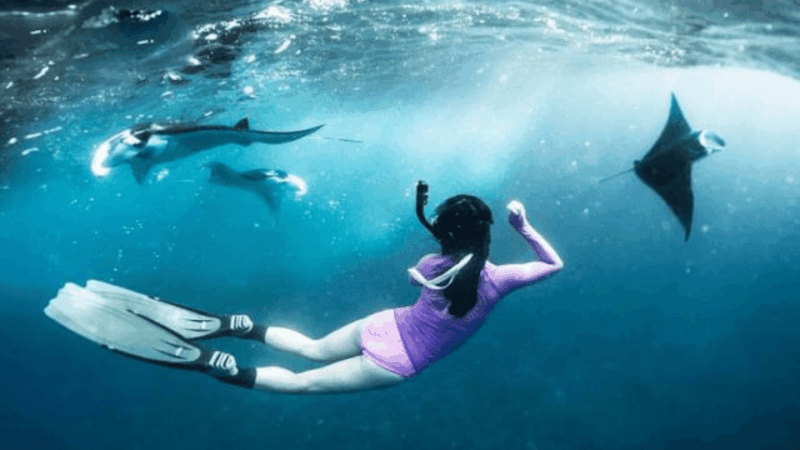 Nusa Penida: 3 Spot With Manta Snorkeling Experience - Important Information