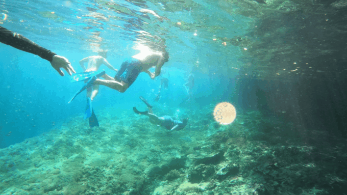 Nusa Penida: 3 Spot With Manta Snorkeling Experience - Meeting Point