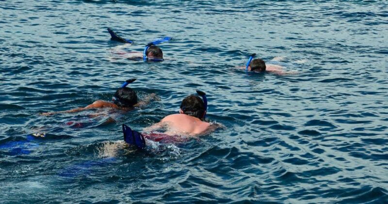 Nusa Penida: 4 Spot Snorkeling and Land Tour - Transportation and Guide