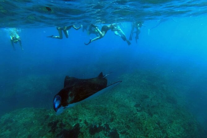 Nusa Penida 4 Spot Snorkeling With Manta and Island Tour - Itinerary Details