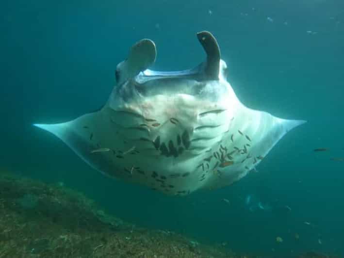 NUSA PENIDA ALL-INCLUSIVE WEST TRIP WITH SNORKLING 3 SPOT - Transportation Details