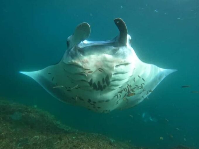 NUSA PENIDA ALL-INCLUSIVE WEST TRIP WITH SNORKLING 3 SPOT - Frequently Asked Questions