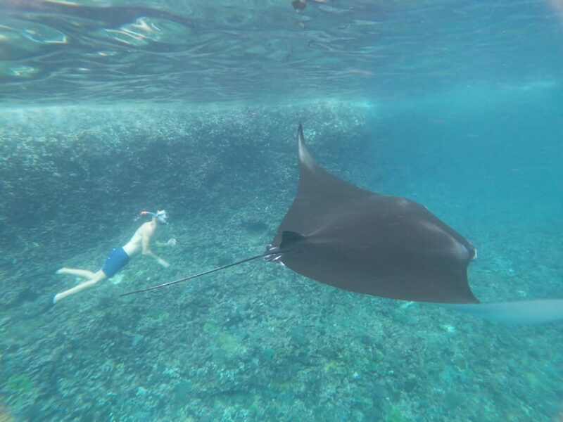 Nusa Penida Day Tour East or West Trip With Snorkeling - Inclusions