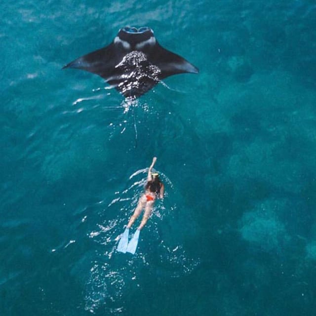 Nusa Penida: Day Tour Island Or Snorkeling To 4 - 6 Spot - Key Points