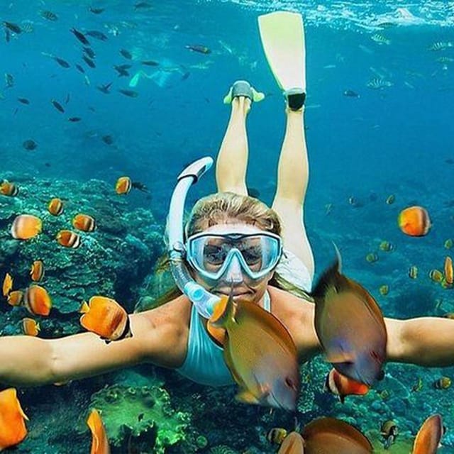 Nusa Penida: Day Tour Island Or Snorkeling To 4 - 6 Spot - Gamat Bay Biodiversity
