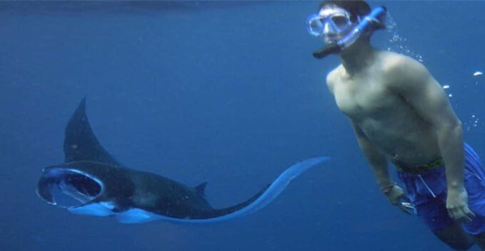 Nusa Penida: Day Tour Island Or Snorkeling To 4 - 6 Spot - Crystal Bay Snorkeling