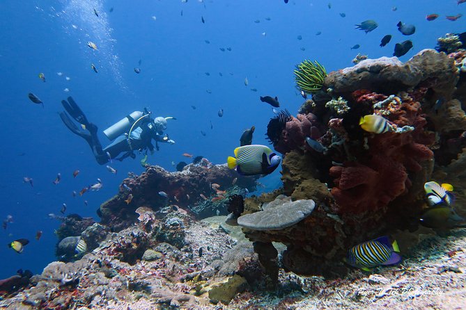 Nusa Penida Day Trip for 3 Dives - Diver Fitness Level