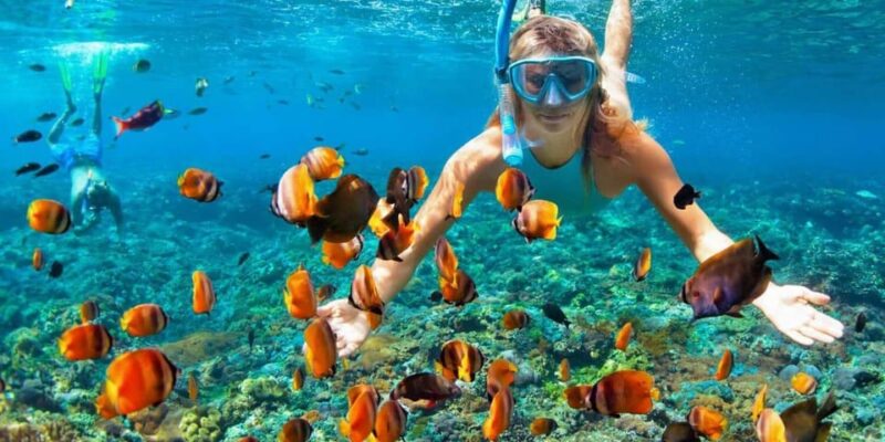 Nusa Penida Day Trip - Highlights