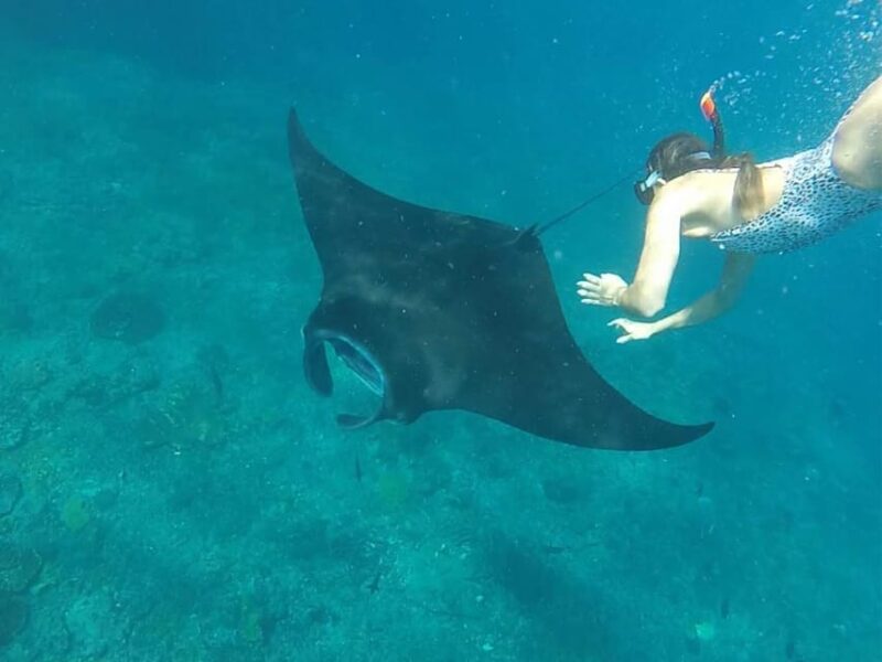 Nusa Penida : Discover Snorkeling and West Island Adventure - Itinerary Highlights