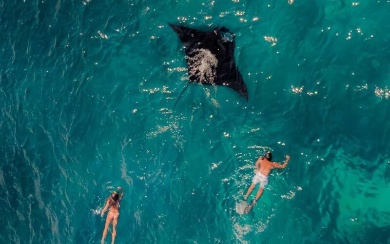 Nusa Penida : Full Day 4 Spot Snorkeling and West Land Tour - Inclusions and Options
