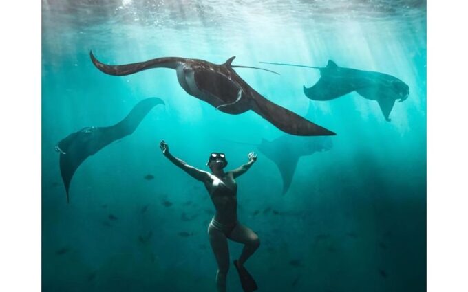 Nusa Penida : Full Day 4 Spot Snorkeling and West Land Tour - Frequently Asked Questions
