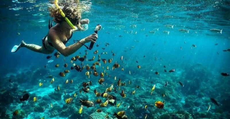 Nusa Penida: Full-Day Guided Snorkeling & Island Tour - Itinerary Highlights