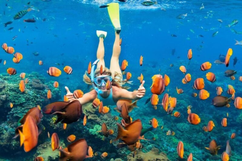 Nusa Penida: Full-Day Guided Snorkeling & Island Tour - Transportation and Logistics