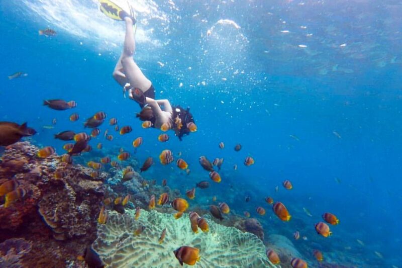 Nusa Penida: Full-Day Guided Snorkeling & Island Tour - Frequently Asked Questions