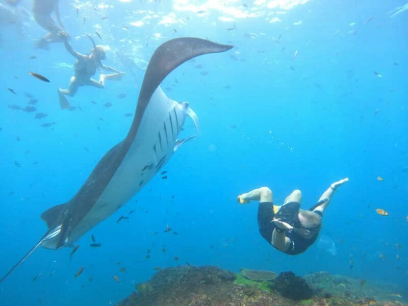 Nusa Penida: Full Day Private Snorkeling With Manta Ray - FAQ