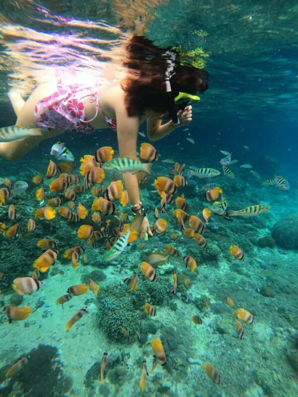 Nusa Penida: Full Day Private Snorkeling With Manta Ray - Final Words