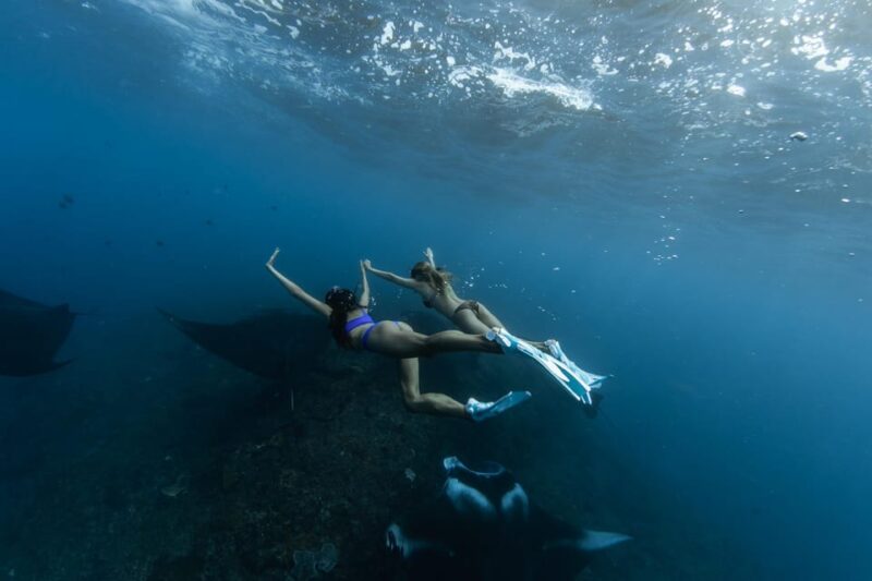 Nusa Penida: Full Day Snorkeling 4 Spots With Private Boat - Itinerary and Activities