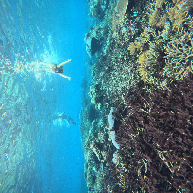 Nusa Penida: Full Day Tour and Snorkeling - Additional Activities