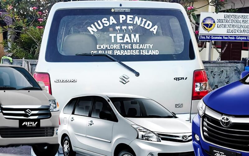 Nusa Penida Full Day Tour Many Options to Fit Your Needs - East Route Highlights