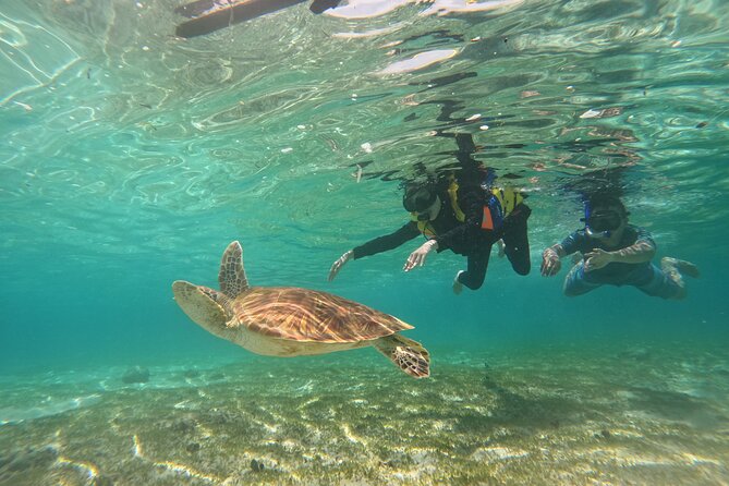 Nusa Penida & Gili Trawangan 3Days 2Night (Snorkeling) - Guided Experiences