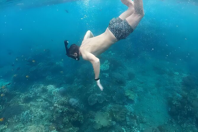 Nusa Penida Island Beach Tour With Snorkeling - Departure From Bali Island - Getting to Nusa Penida Island