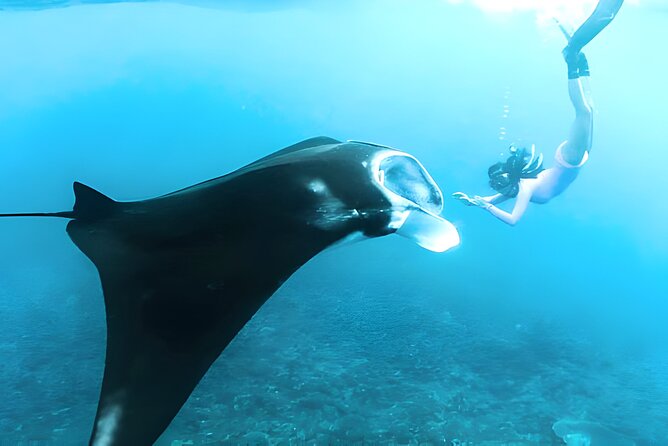 Nusa Penida Island Beach Tours With Snorkeling From Bali - Inclusions and Exclusions