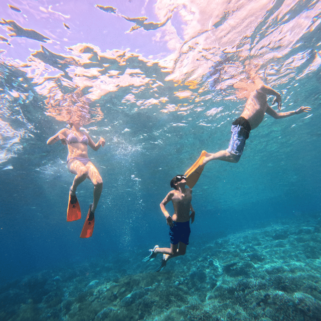 Nusa Penida Island: Snorkeling Day - Experience Highlights