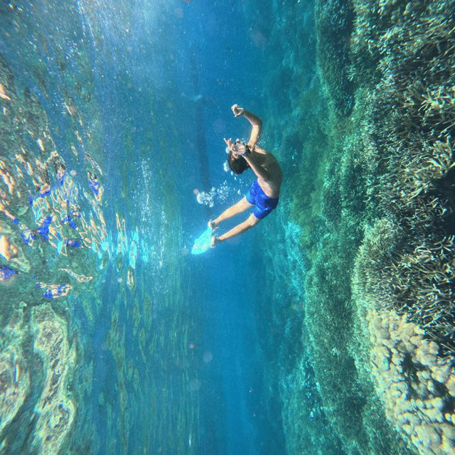 Nusa Penida Island: Snorkeling Day - Inclusions