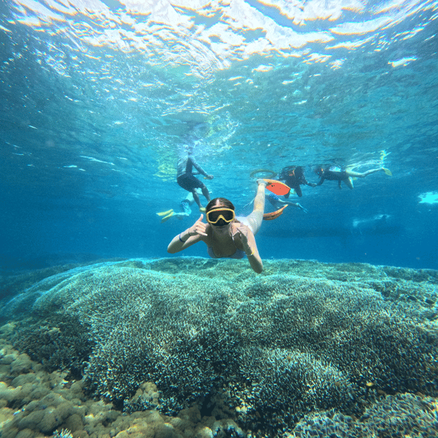 Nusa Penida Island: Snorkeling Day - Frequently Asked Questions