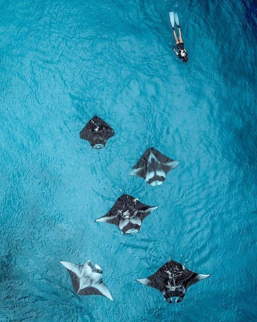 Nusa Penida Land Tour & Snorkeling With Manta Ray - Key Points