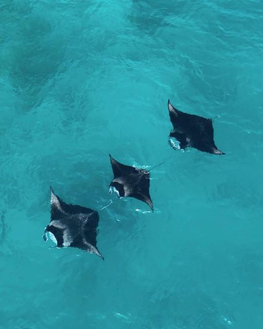 Nusa Penida Land Tour & Snorkeling With Manta Ray - Customer Reviews