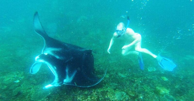 Nusa Penida: Manta Point 3 Spot Snorkeling and Land Tour - Itinerary and Highlights