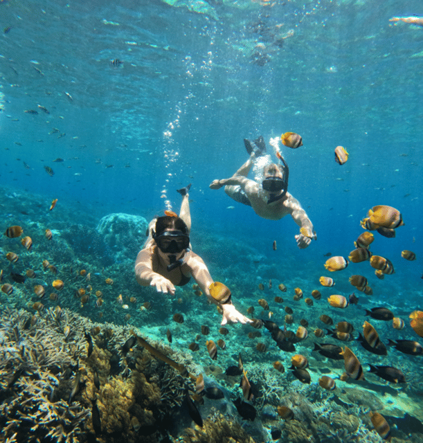 Nusa Penida & Nusa Lembongan Snorkeling + Island Day Tour - Key Points
