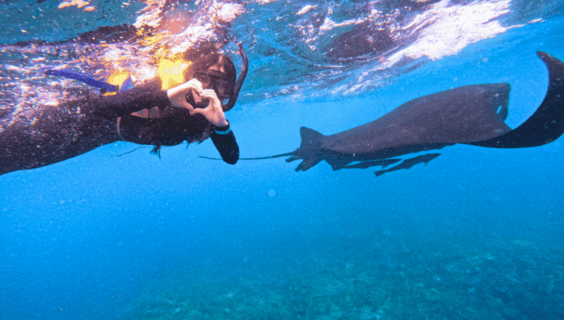 Nusa Penida & Nusa Lembongan Snorkeling + Island Day Tour - Itinerary and Activities