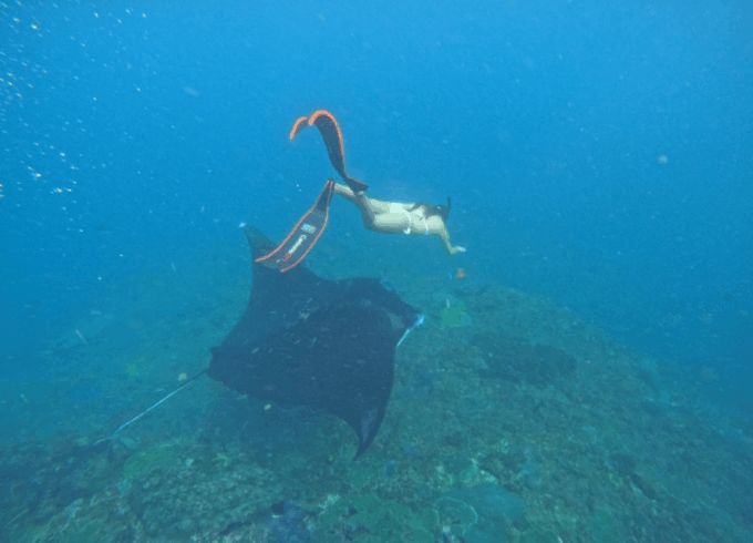 Nusa Penida & Nusa Lembongan Snorkeling + Island Day Tour - Pickup and Drop-off Locations