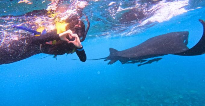 Nusa Penida & Nusa Lembongan Snorkeling + Island Day Tour - Frequently Asked Questions