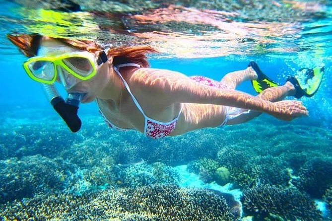 Nusa Penida One Day Trips and Snorkeling Tour - Inclusions