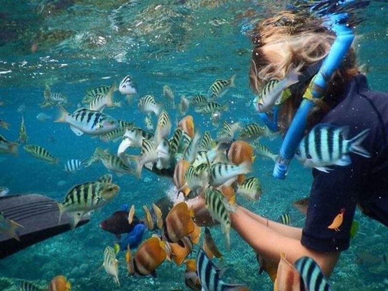 Nusa Penida Package 2D1N : Snorkeling and Tour Island - Key Points