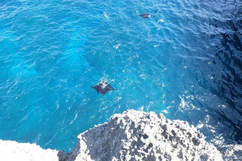Nusa Penida: Private Car with Driver & Opt Fastboat Tickets - An In-Depth Look at the Tour