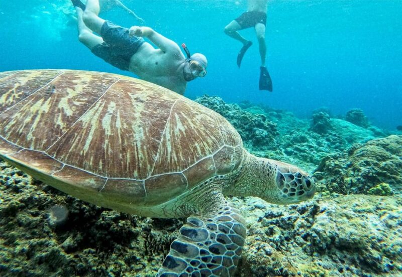 Nusa Penida: Private Manta Bay 5 Spot Snorkeling Trip - Itinerary and Locations