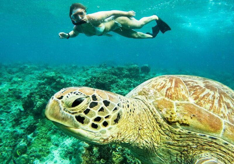 Nusa Penida: Private Manta Bay 5 Spot Snorkeling Trip - Booking and Reservation