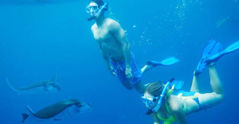 Nusa Penida Private Manta Point Snorkeling And Land Tour - Key Points