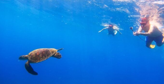 Nusa Penida Private Manta Point Snorkeling And Land Tour - Snorkeling With Manta Rays