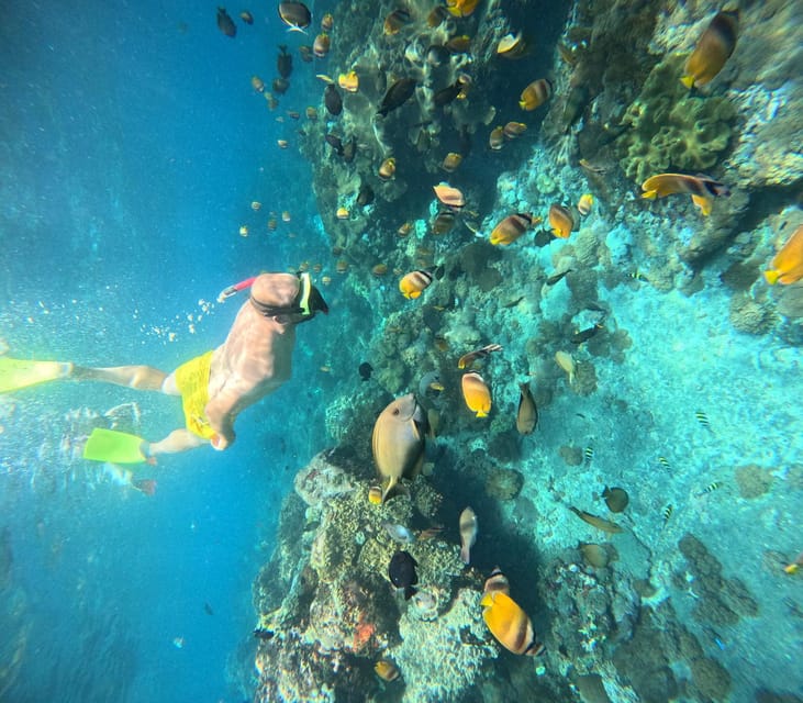 Nusa Penida Private Trip:Snorkling Activities to Manta Point - Experience Highlights