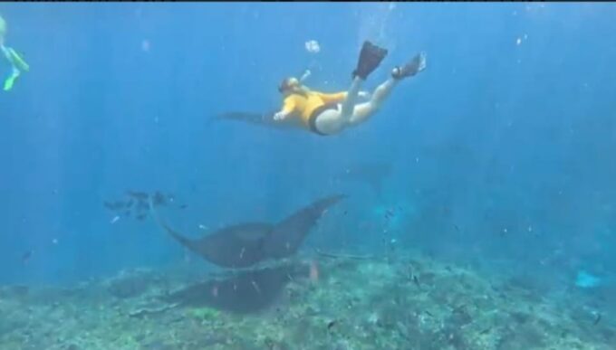 Nusa Penida Private Trip:Snorkling Activities to Manta Point - Frequently Asked Questions