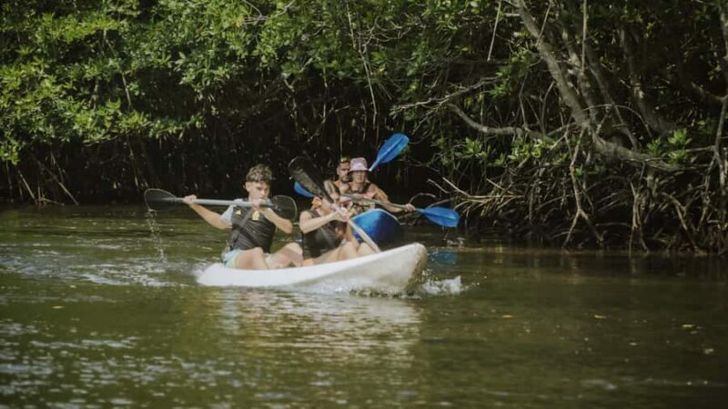 Nusa Penida: Snorkeling 3 Spots with GoPro & Kayak Mangroves - What About the Cost and Overall Value?